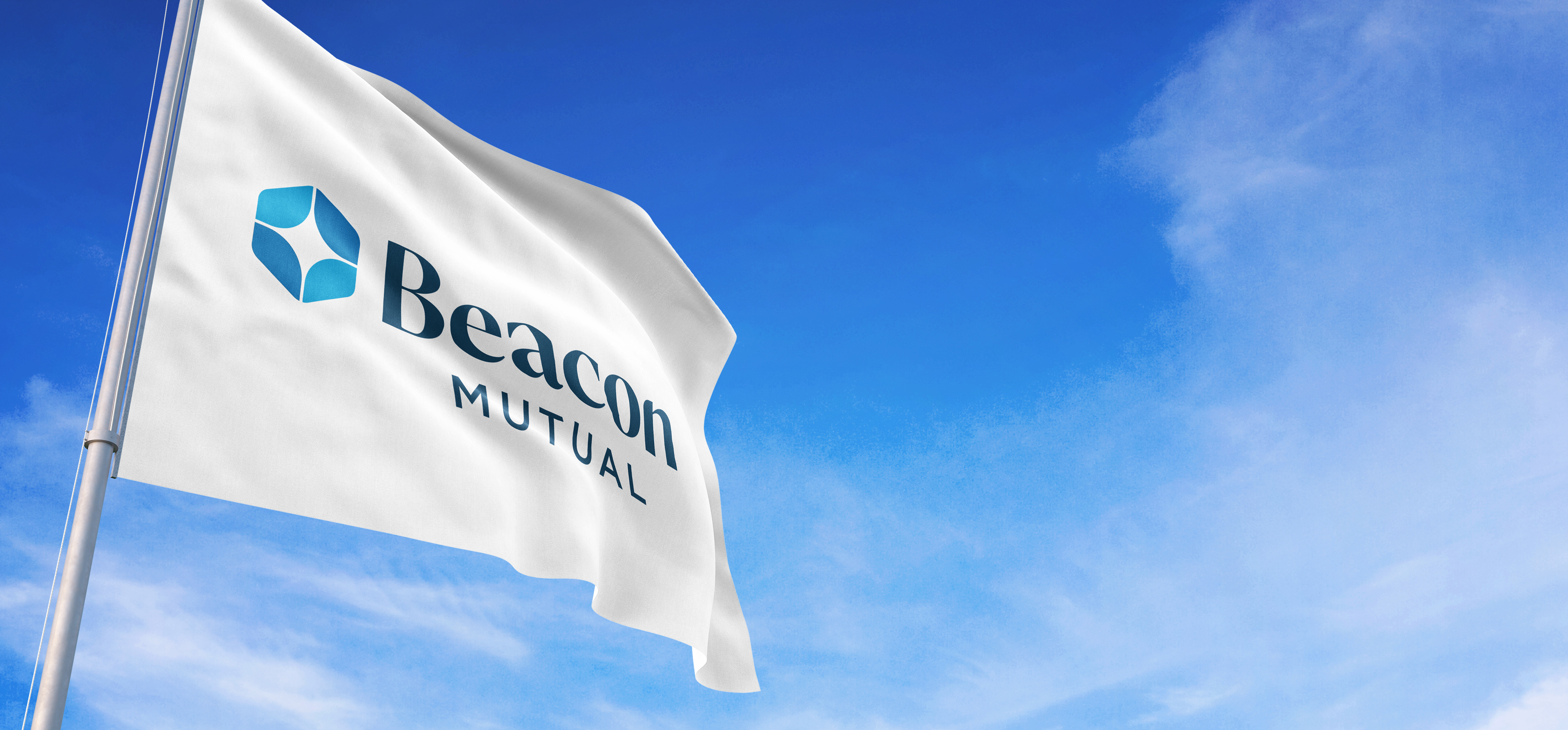 flag_2024C_300dpi